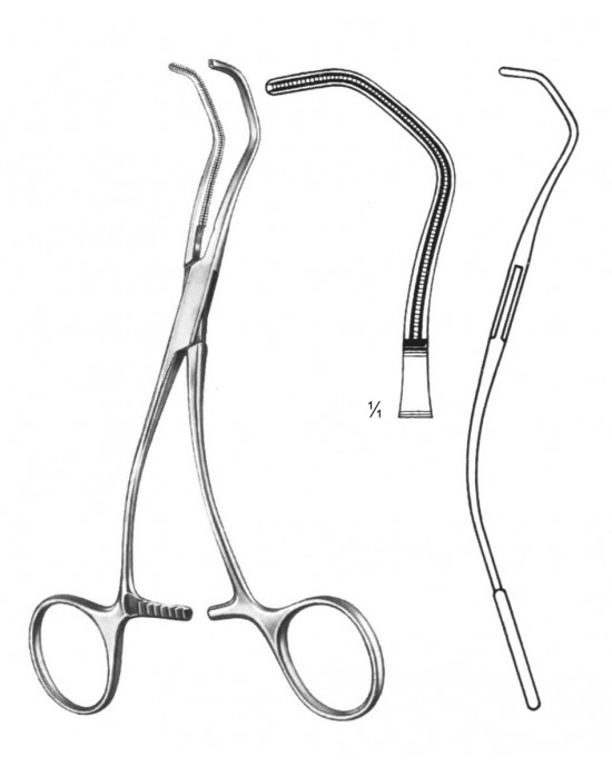 SH- 19-5800-16