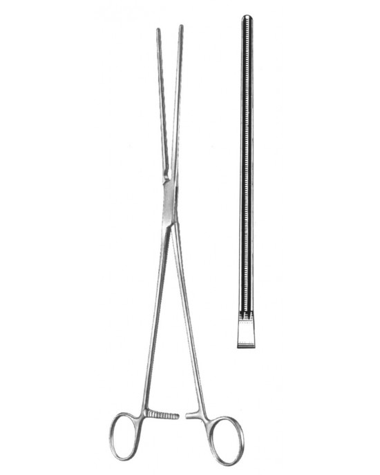 SH- 19-5803-23