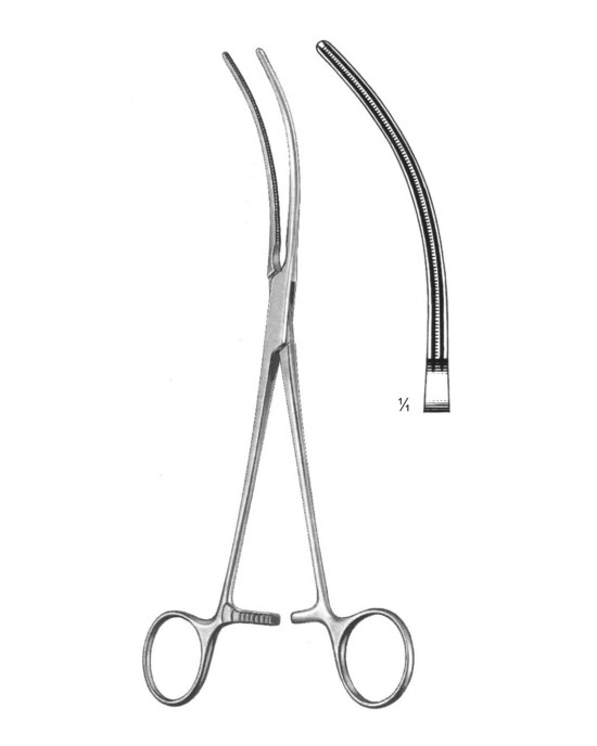 SH- 19-5804-21