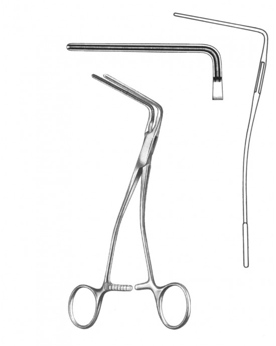 SH- 19-5805-19