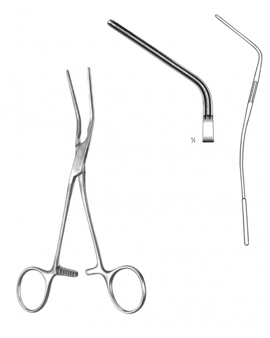 SH- 19-5807-21