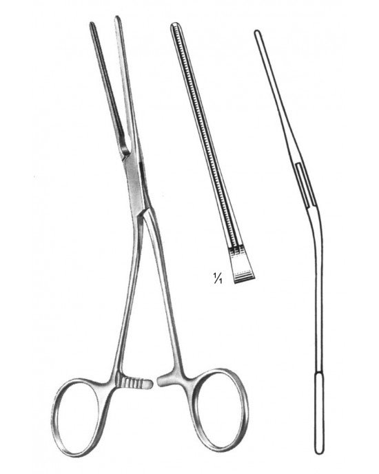 SH- 19-5812-16