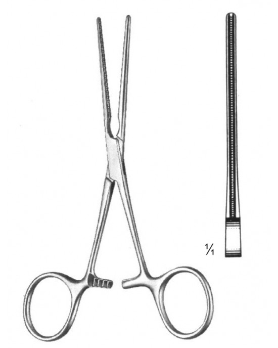 SH- 19-5815-13