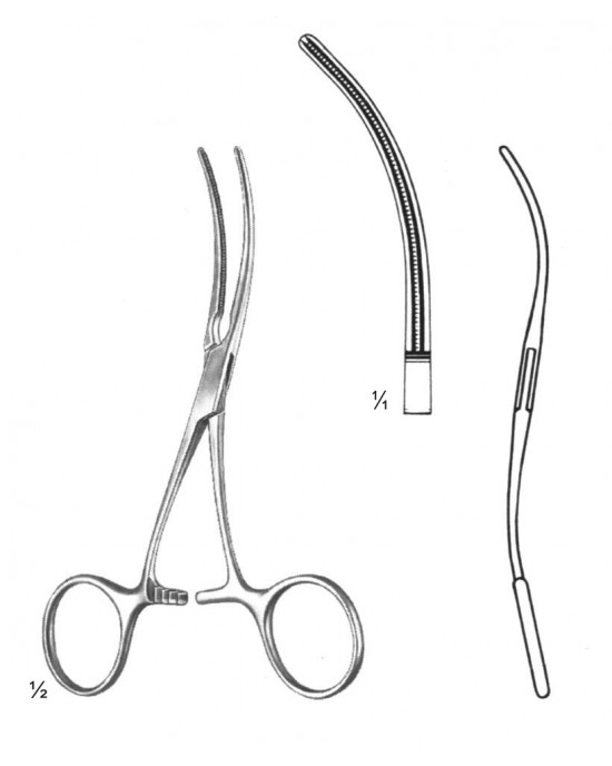 SH- 19-5816-12