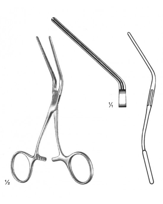 SH- 19-5817-12