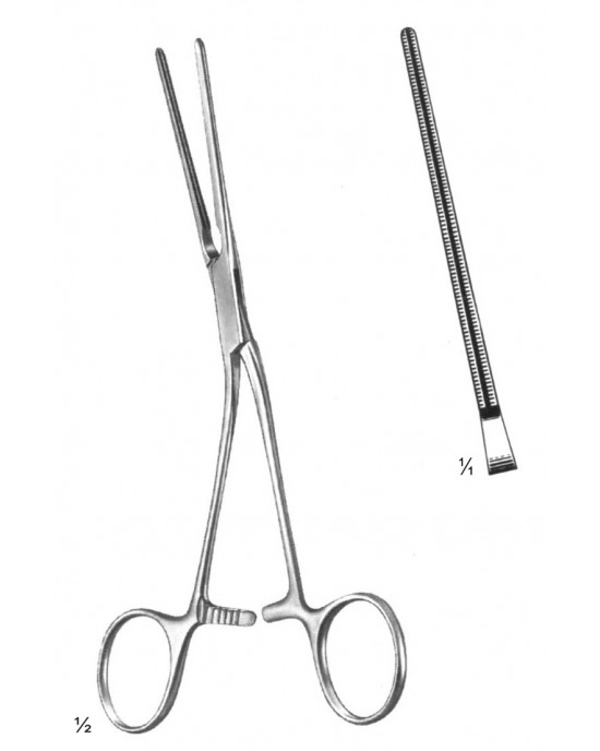 SH- 19-5831-17