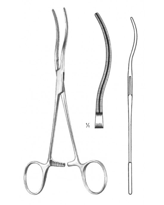 SH- 19-5833-17