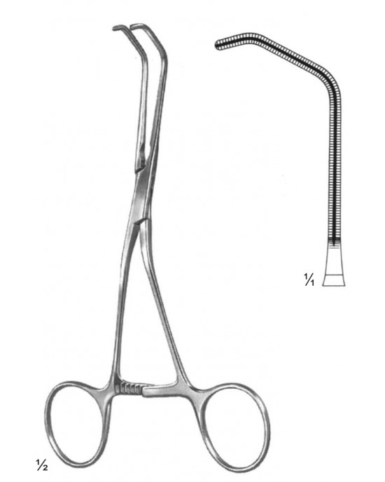 SH- 19-5847-15