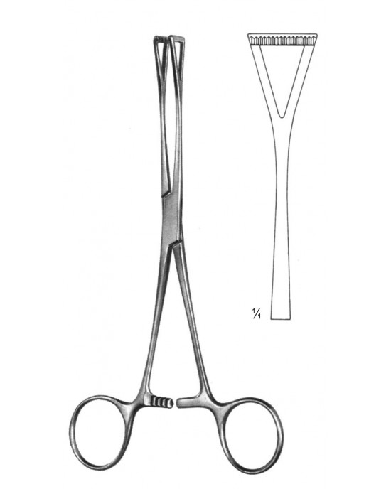 SH- 19-5851-20