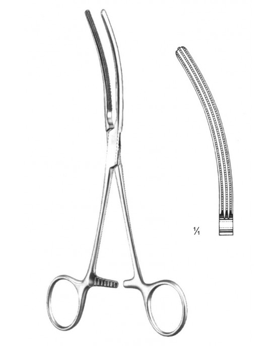 SH- 19-5856-13