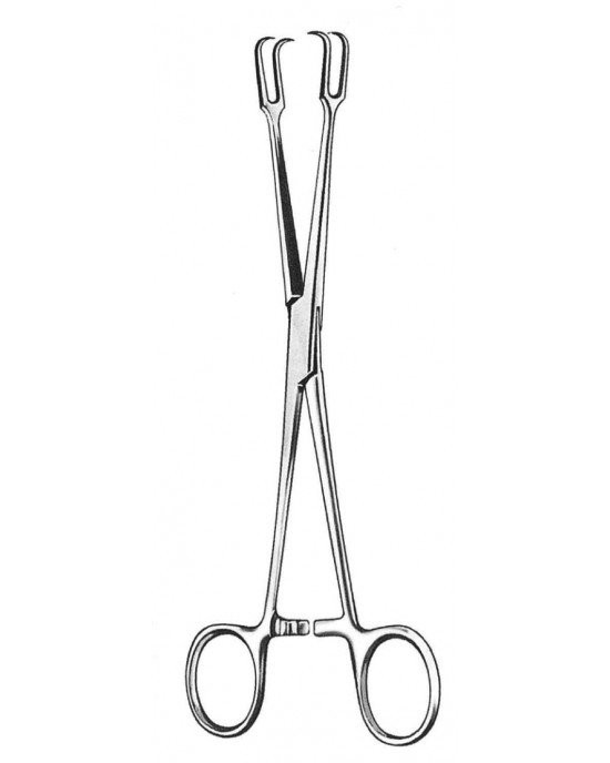SH- 20-6184-20