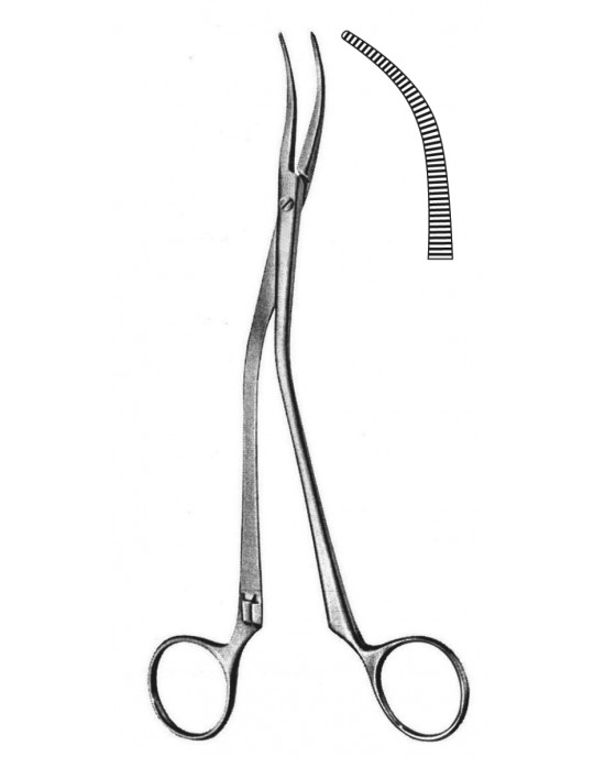 SH- 20-6197-19