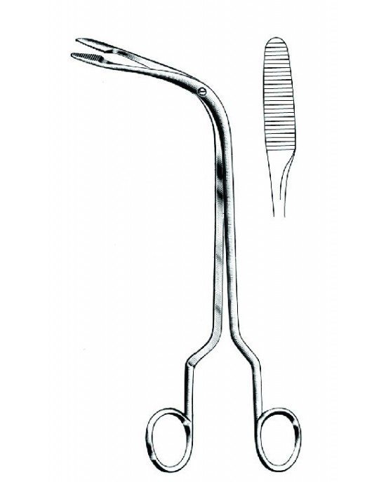 SH- 20-6247-19
