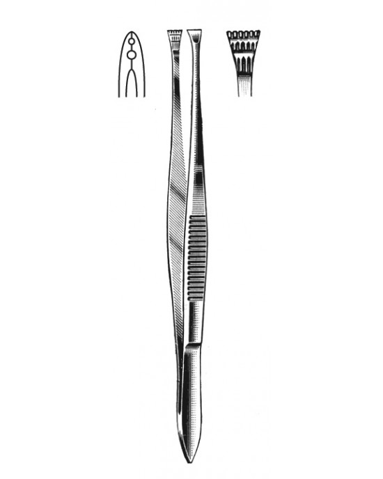 SH- 22-6772-11