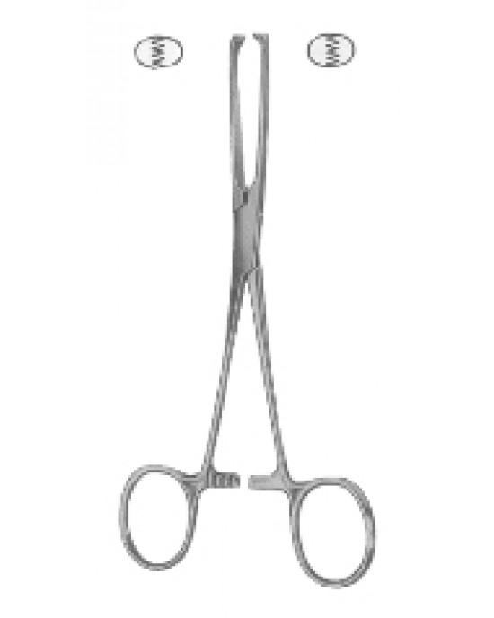 SH- 24-7101-25