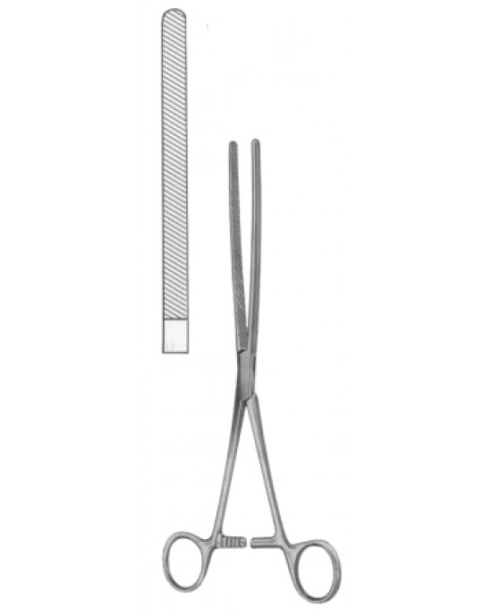 SH- 24-7125-21