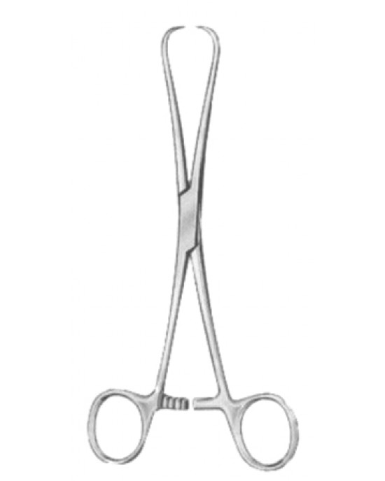 SH- 29-8157-17
