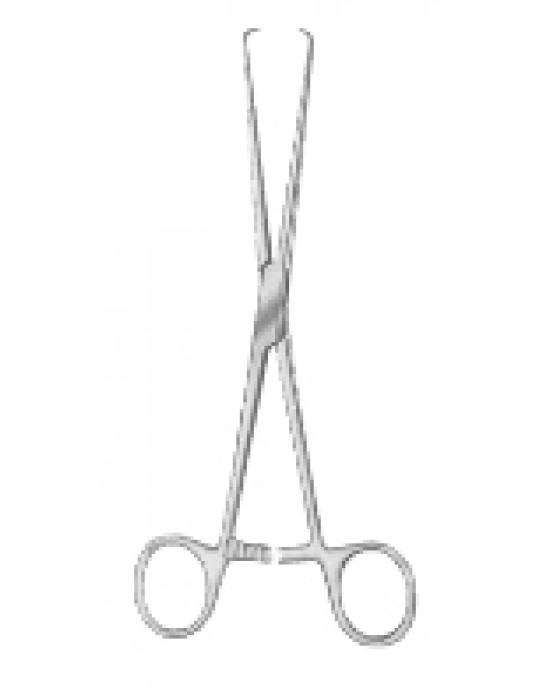 SH- 29-8158-17