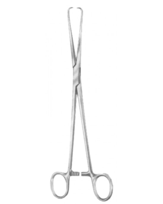 SH- 29-8161-25