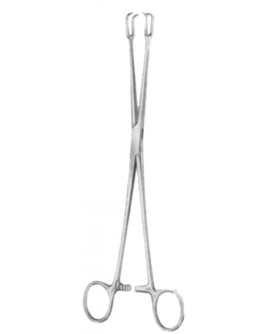 SH- 29-8168-24