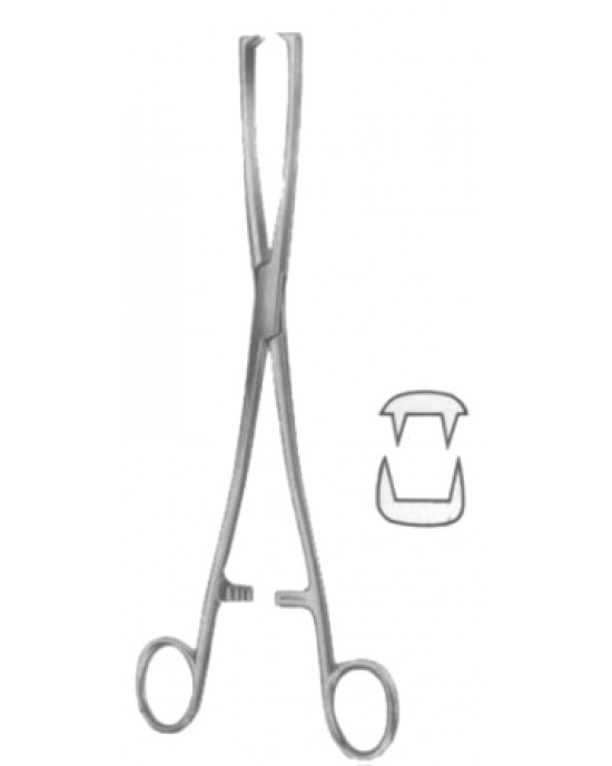 SH- 29-8179-10