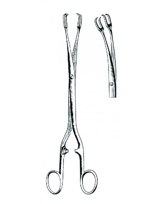 SH- 29-8192-01