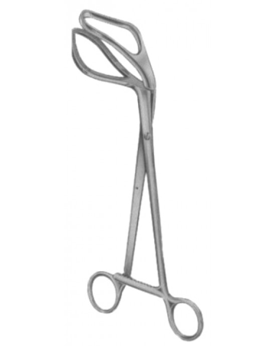 SH- 29-8195-23