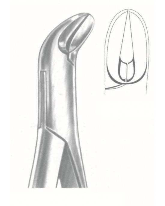 SH-50-1008
