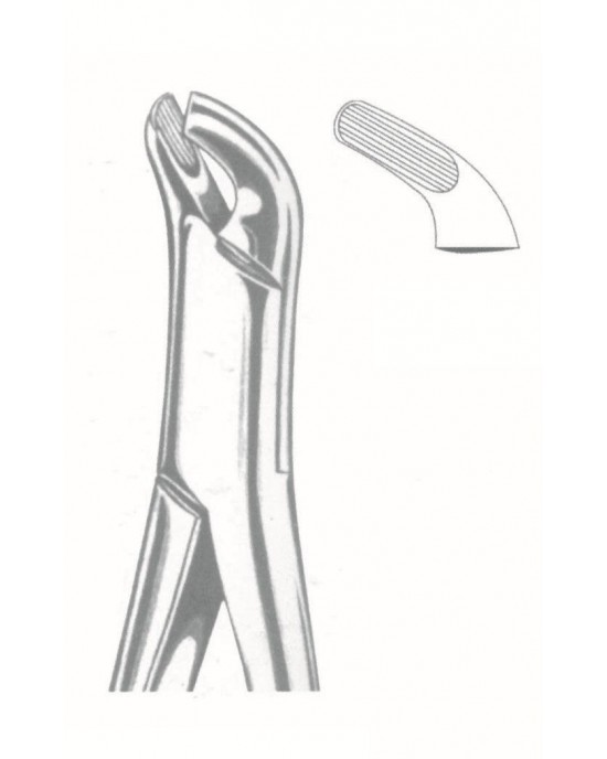 SH-50-1019