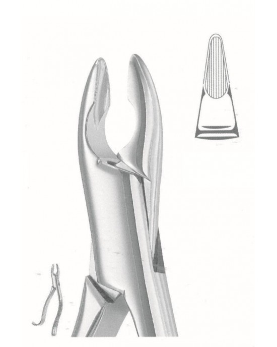 SH-50-1036