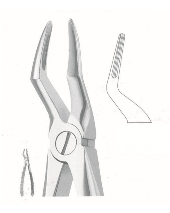 SH-51-1137