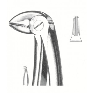 SH-51-1146