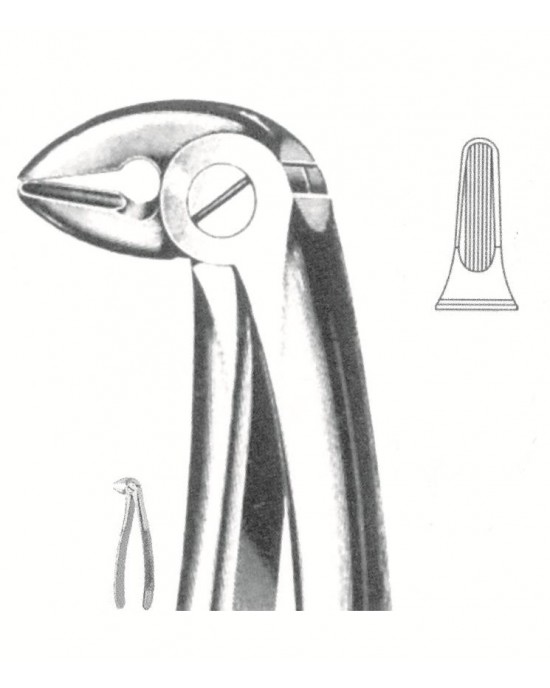 SH-51-1146
