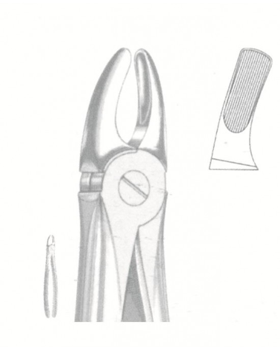 SH-51-1181