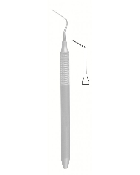 SH-56-1556