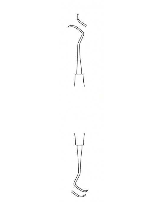 SH-56-1596