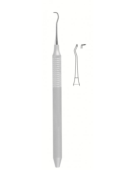 SH-56-1650