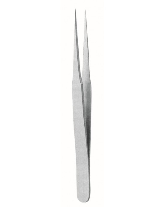 SH-73-3598
