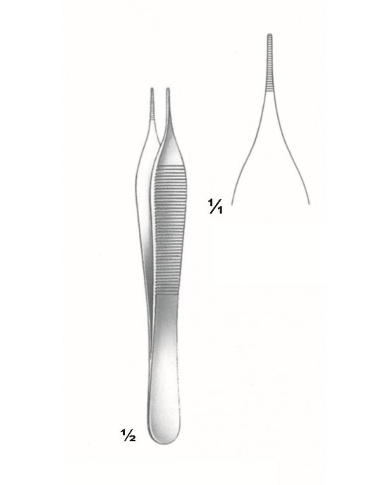 SH-75-3813