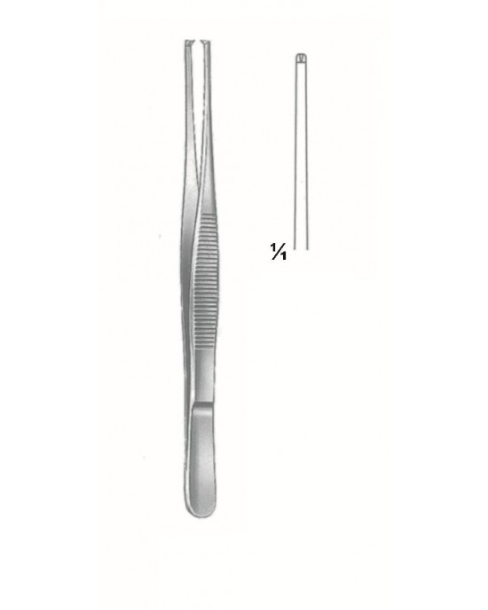 SH-75-3825