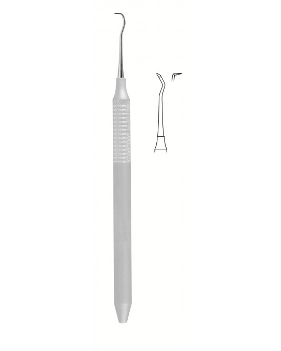 SH-56-1649