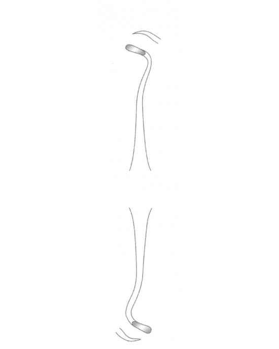 SH-58-1828
