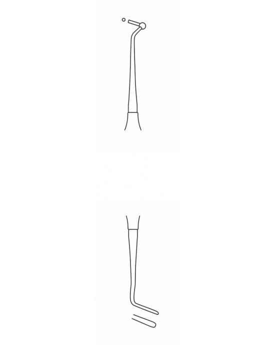 SH-60-2021