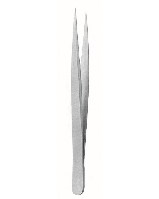 SH-73-3597