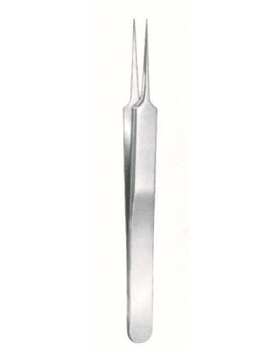 SH-73-3599