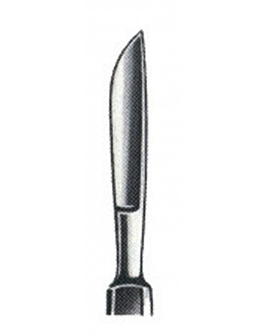 SH- 01-1019-02