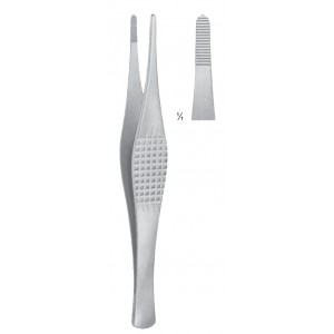 SH- 08-2036-18