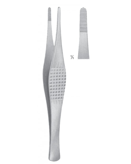 SH- 08-2036-18