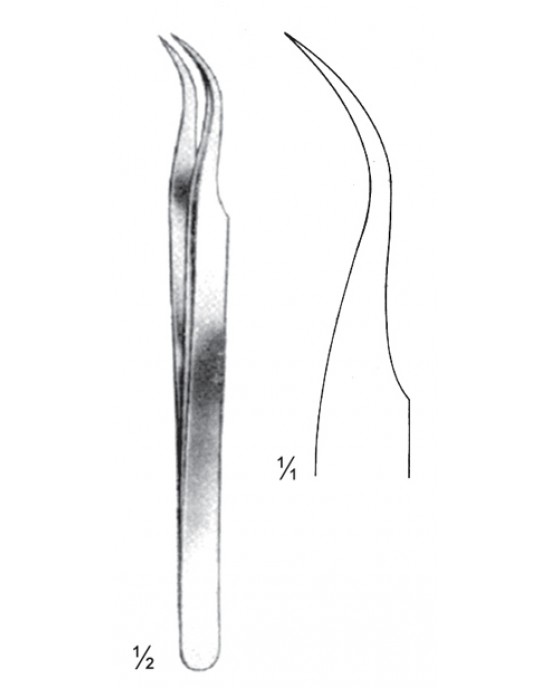 SH- 08-2146-11