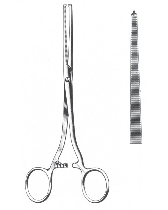 SH- 11-2568-20